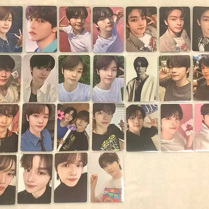 라이즈 성찬 포카 59장 결제창