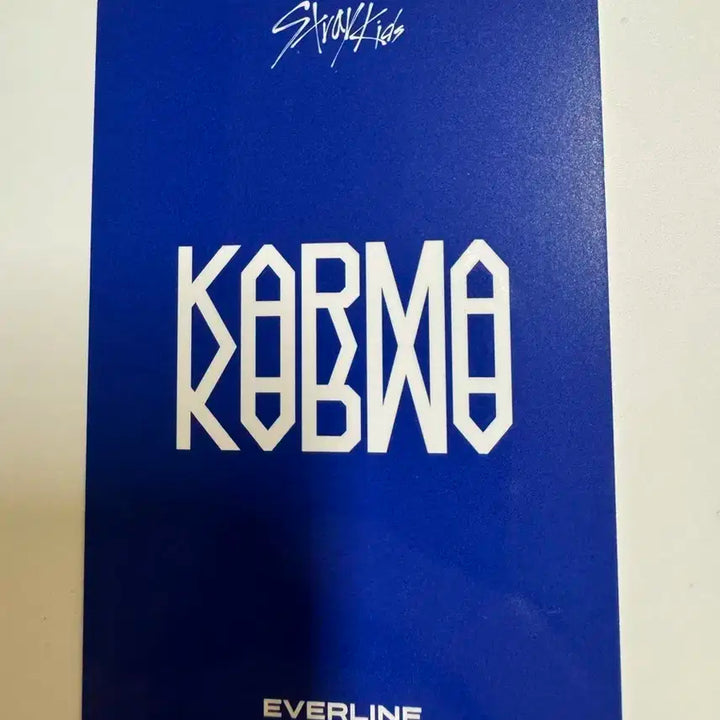 스트레이키즈 스키즈 karma 에버라인 방찬