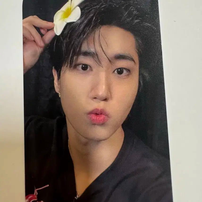 스트레이키즈 스키즈 karma 에버라인 한