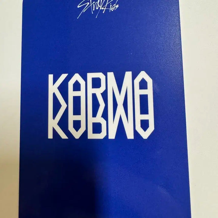 스트레이키즈 스키즈 karma 에버라인 아이엔