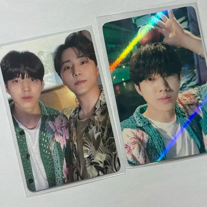 데이식스 포카 일괄 양도