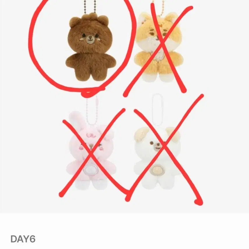 쁘쁘멀 방이 미개봉 데니멀즈 데이식스 day6
