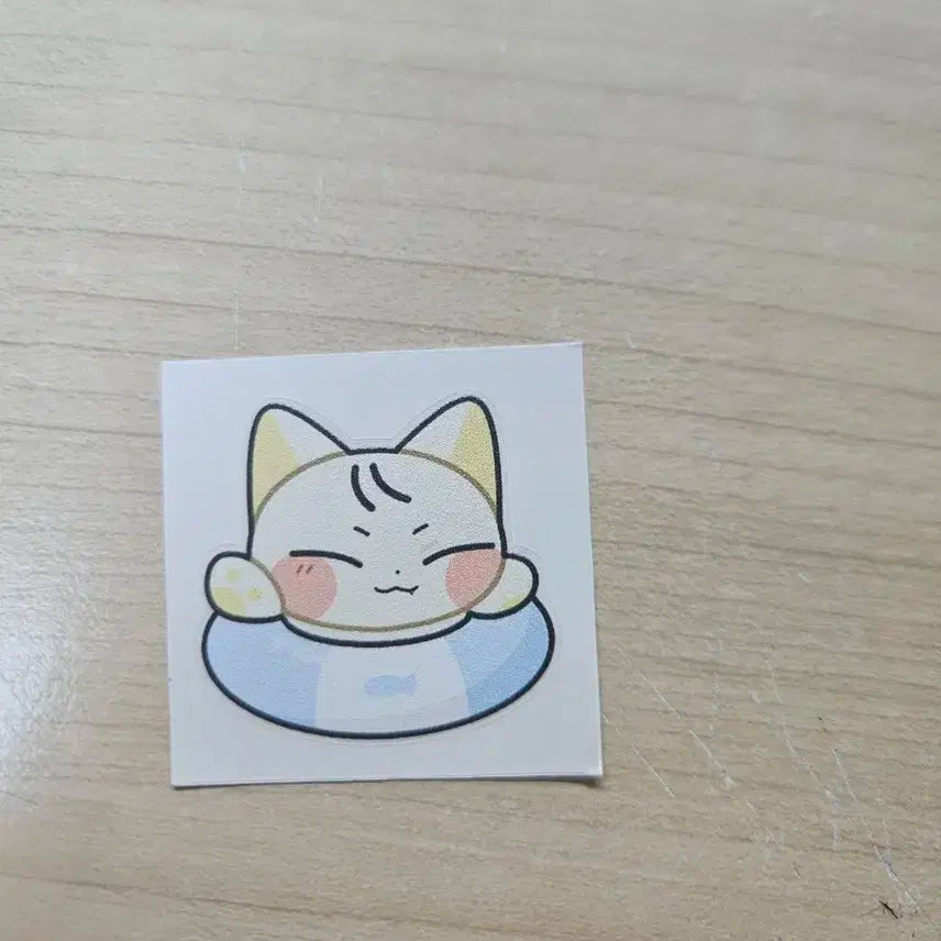 비투비 서은광 광냥이 인형 양도