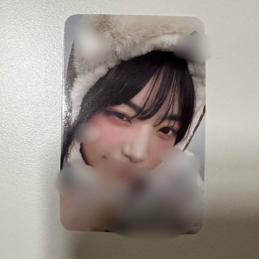 QWER 시연 디마뮤 디어마이뮤즈 당첨자 군밤 싸인 포카 싸포 포토카드