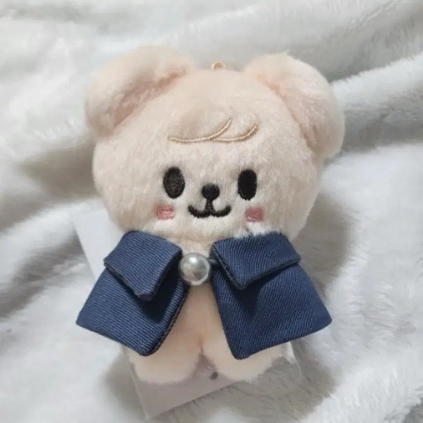 스키주 콩키주 퍼핌 양도