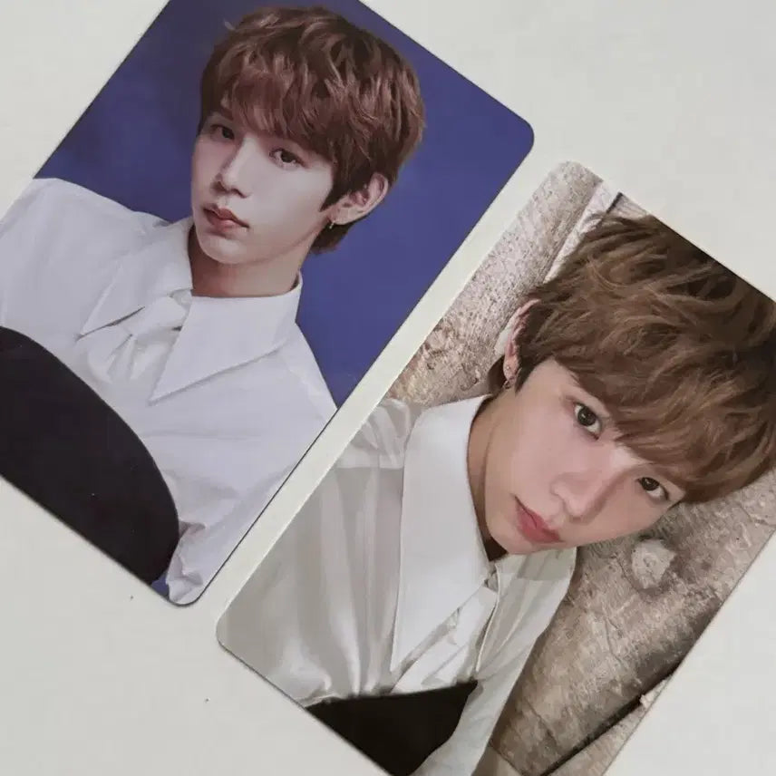 라이즈 2025시그 트레카 쇼타로 일괄