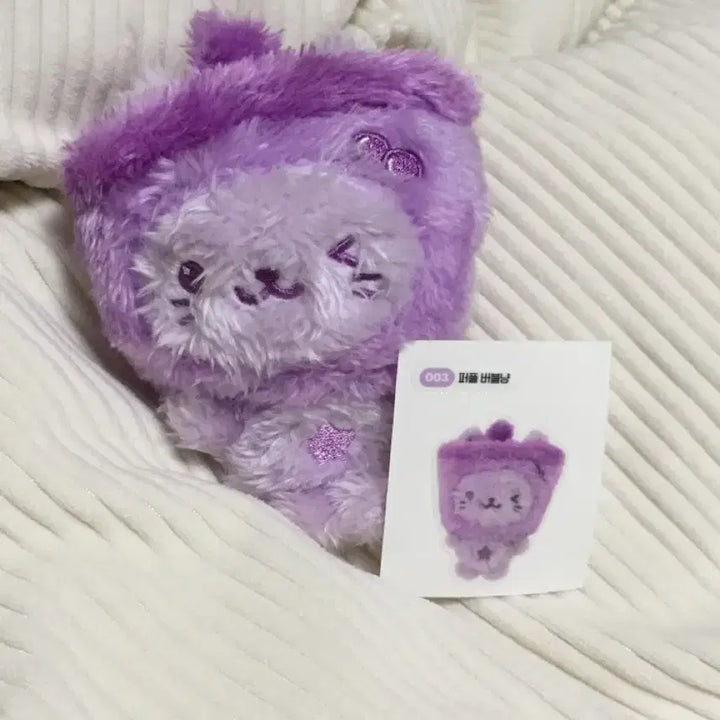 보라버블냥 원가양도 단순개봉 엔시티위시 컬러팝업