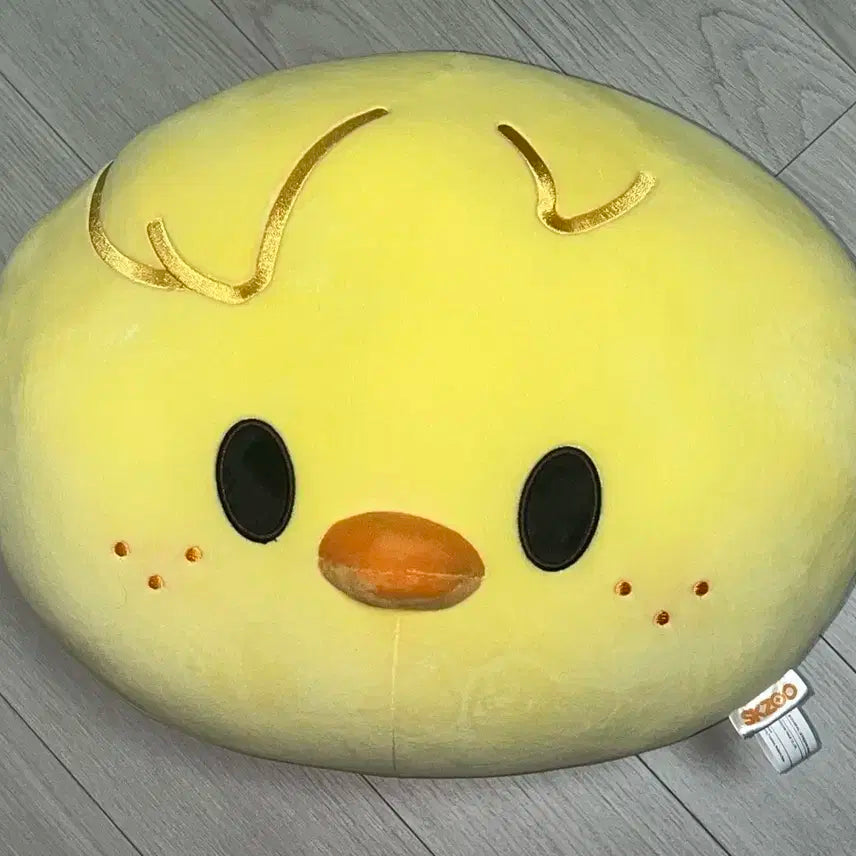뽁아리 쿠션