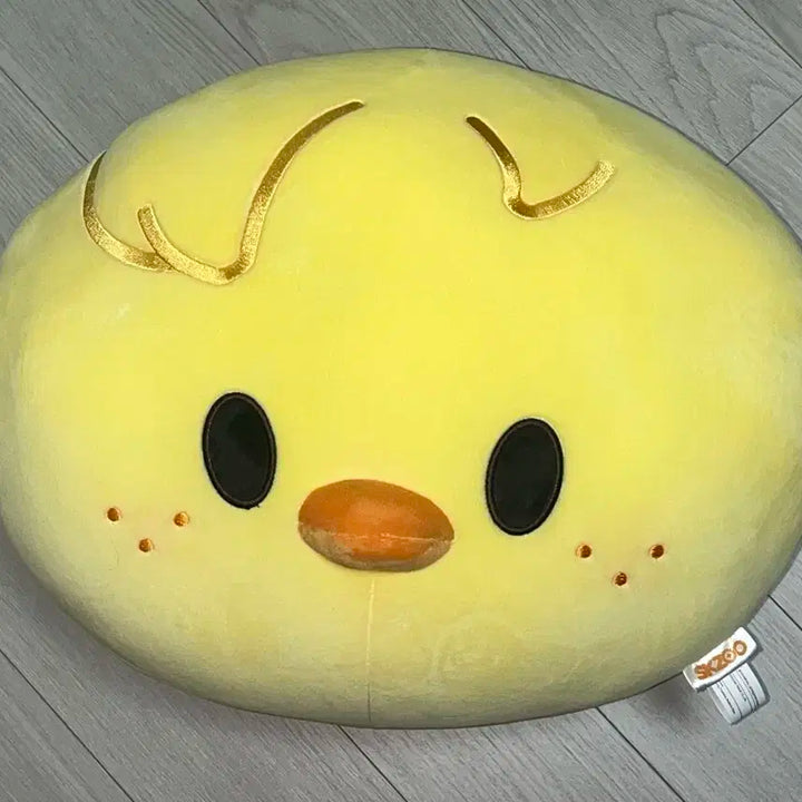 뽁아리 쿠션