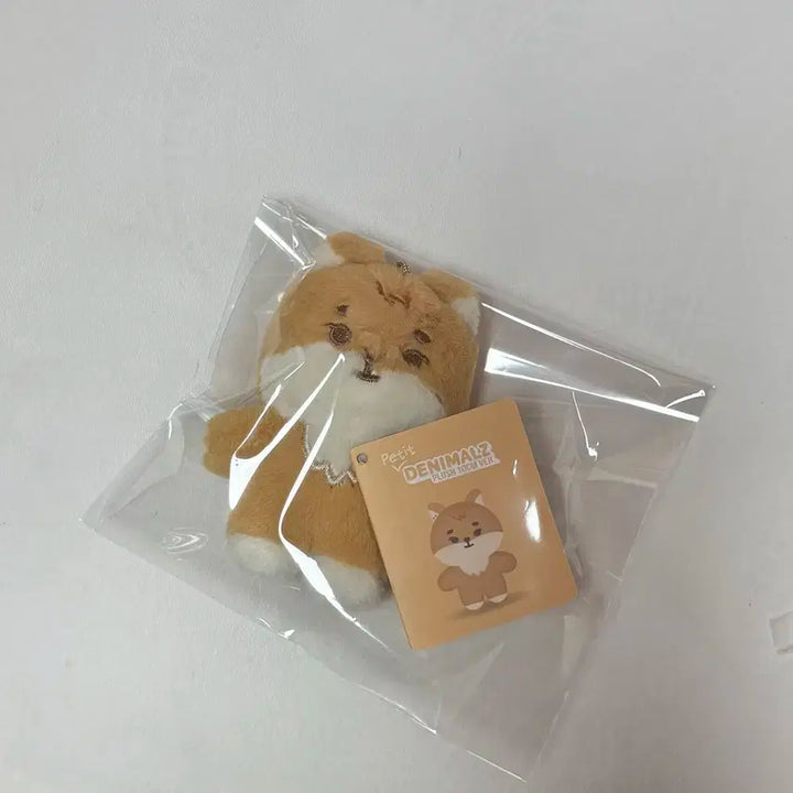 급처) 데이식스 쁘멀 쁘띠멀즈 KE 영케이
