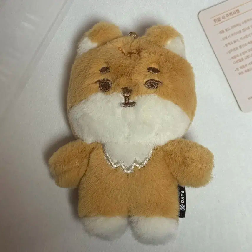 급처) 데이식스 쁘멀 쁘띠멀즈 KE 영케이