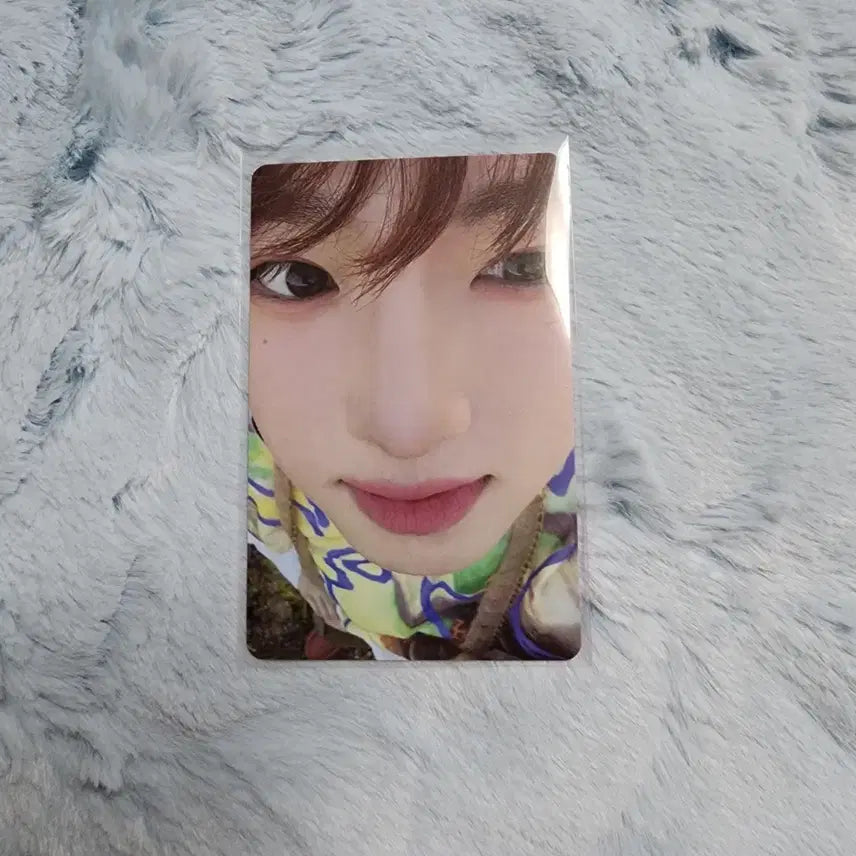 엔시티위시 컬러 포토북  사쿠야