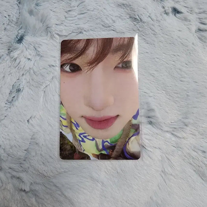 엔시티위시 컬러 포토북  사쿠야