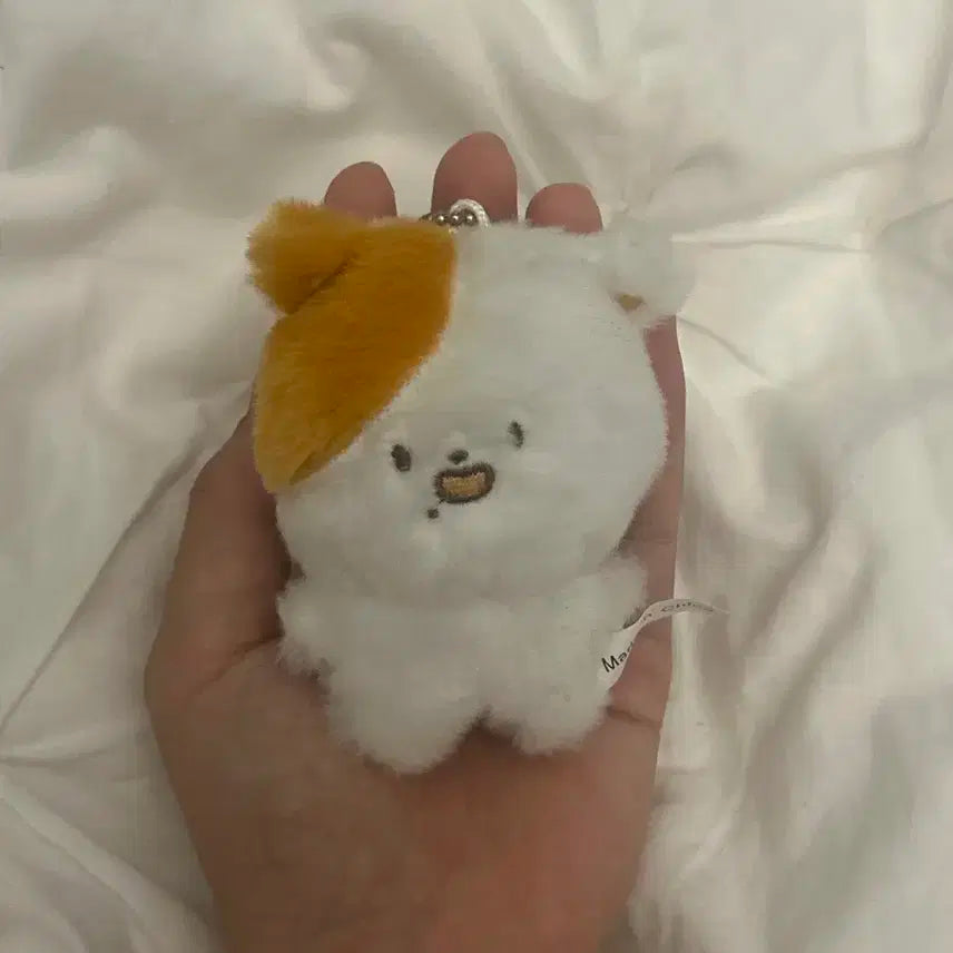 nct드림 지성 인형 포켓찌