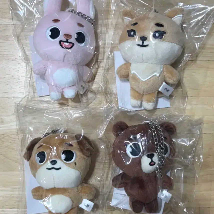 데이식스 포에버영 일본 엠디 백참