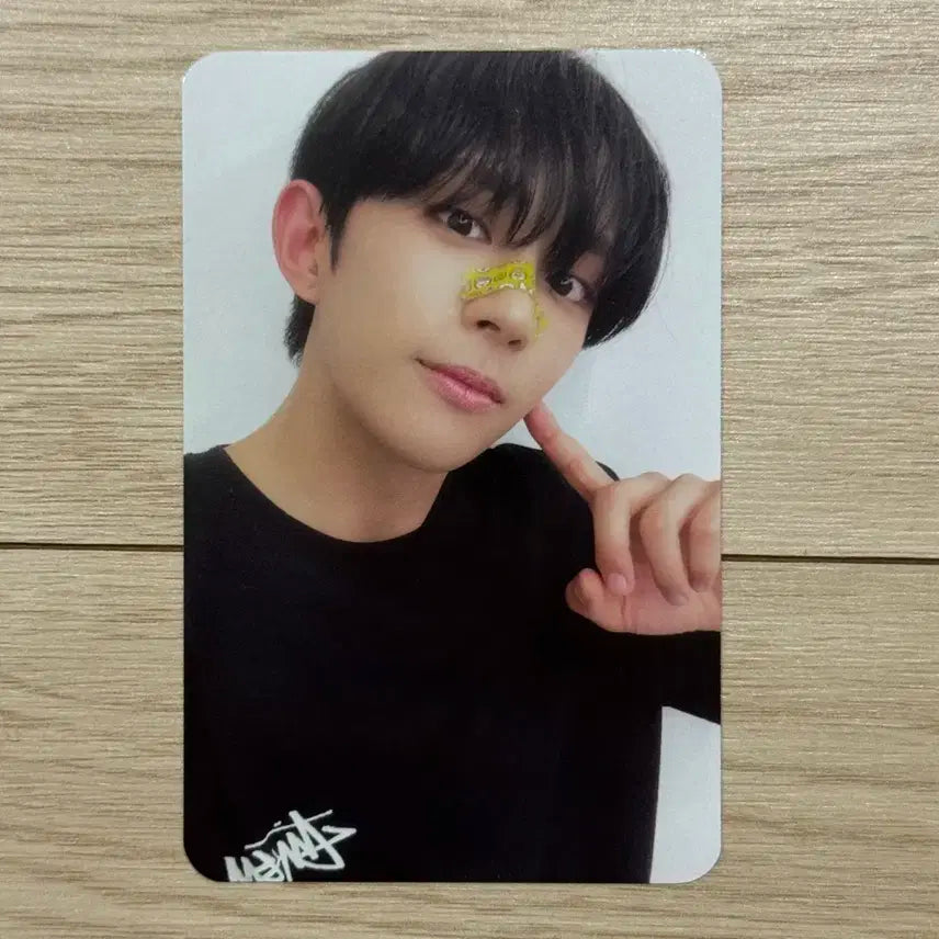 다크비 디원 위럽유 말했잖아 비트로드 미공포 특전 포카