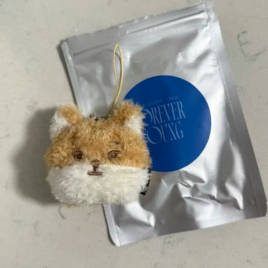 새상품 데이식스 미니페이스키링 케