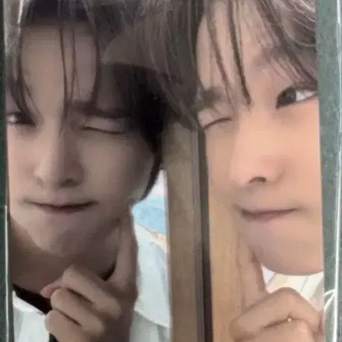 리쿠 포카 일괄양도 엔시티 위시