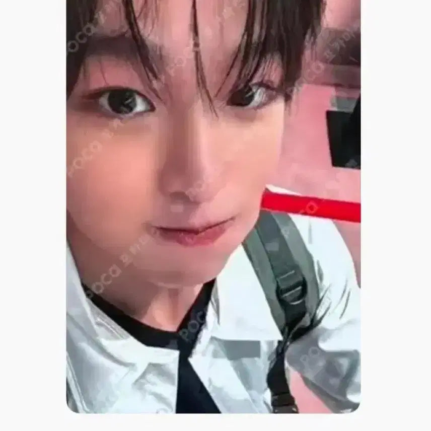 리쿠 포카 일괄양도 엔시티 위시