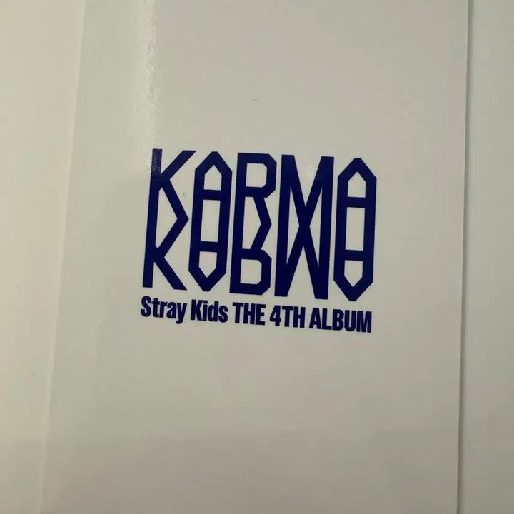 스트레이키즈 스키즈 karma SKZOO 네모즈 리노