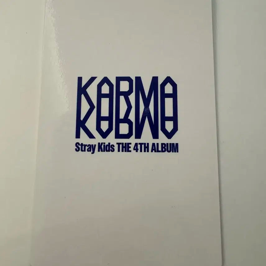 스트레이키즈 스키즈 karma SKZOO 네모즈 아이엔