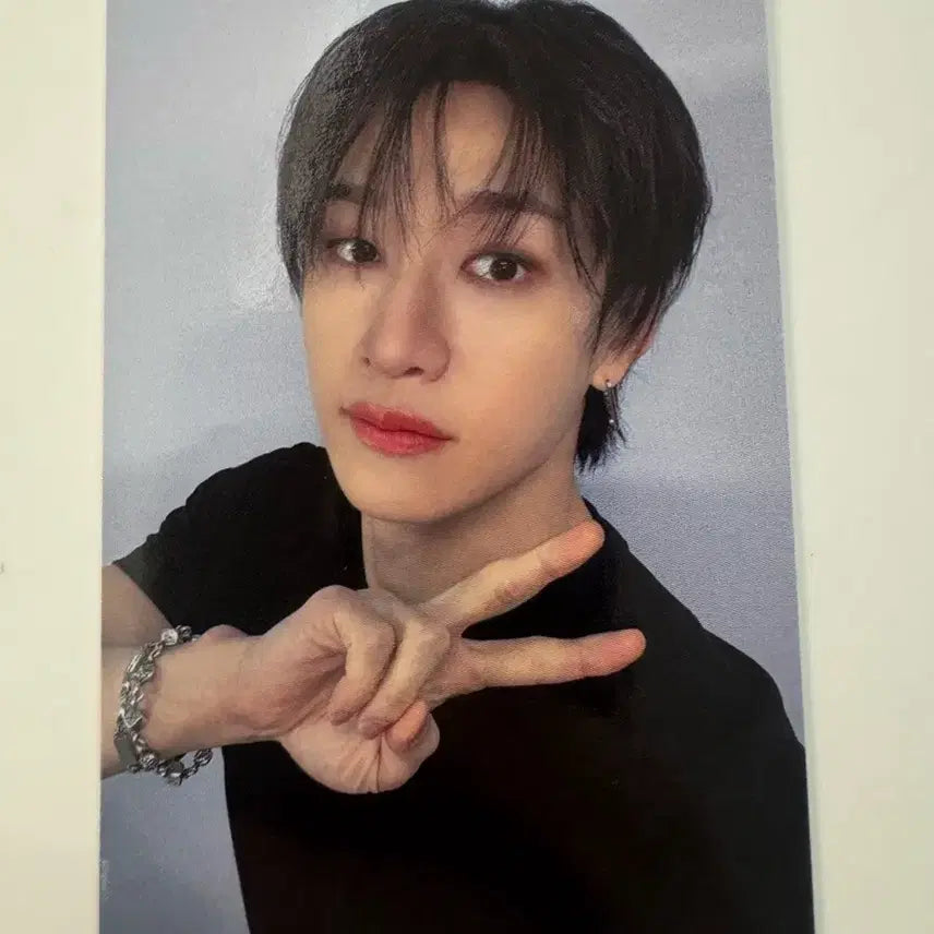 스트레이키즈 스키즈 karma SKZOO 네모즈 방찬