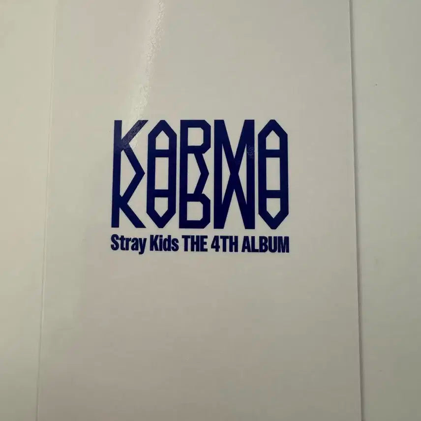 스트레이키즈 스키즈 karma SKZOO 네모즈 방찬