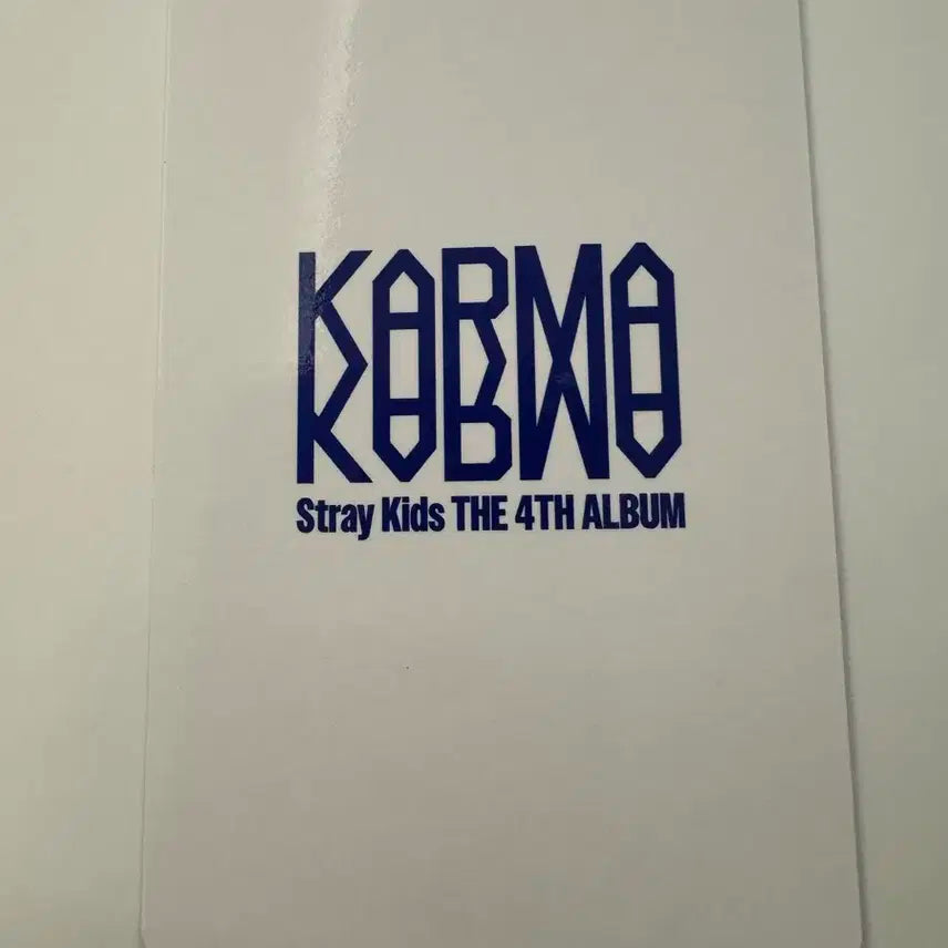 스트레이키즈 스키즈 karma SKZOO 네모즈 창빈