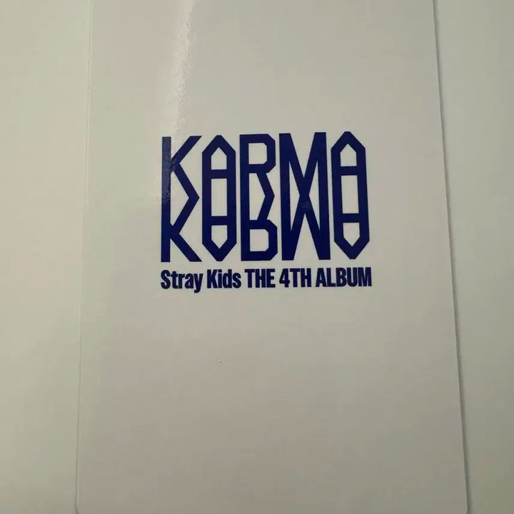 스트레이키즈 스키즈 karma SKZOO 네모즈 창빈