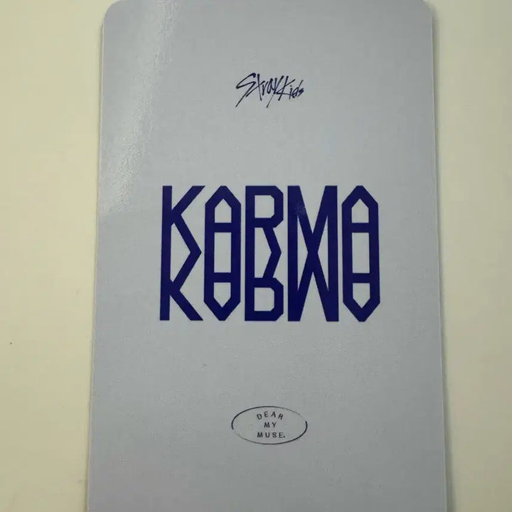 스트레이키즈 스키즈 karma 디어마이뮤즈 리노