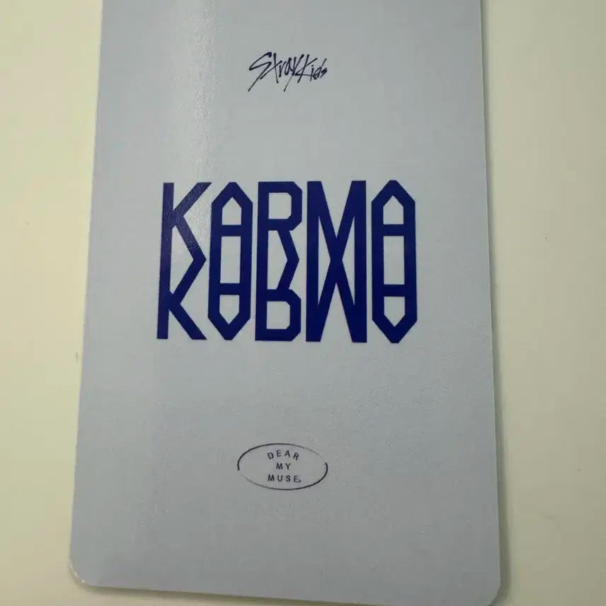 스트레이키즈 스키즈 karma 디어마이뮤즈 현진