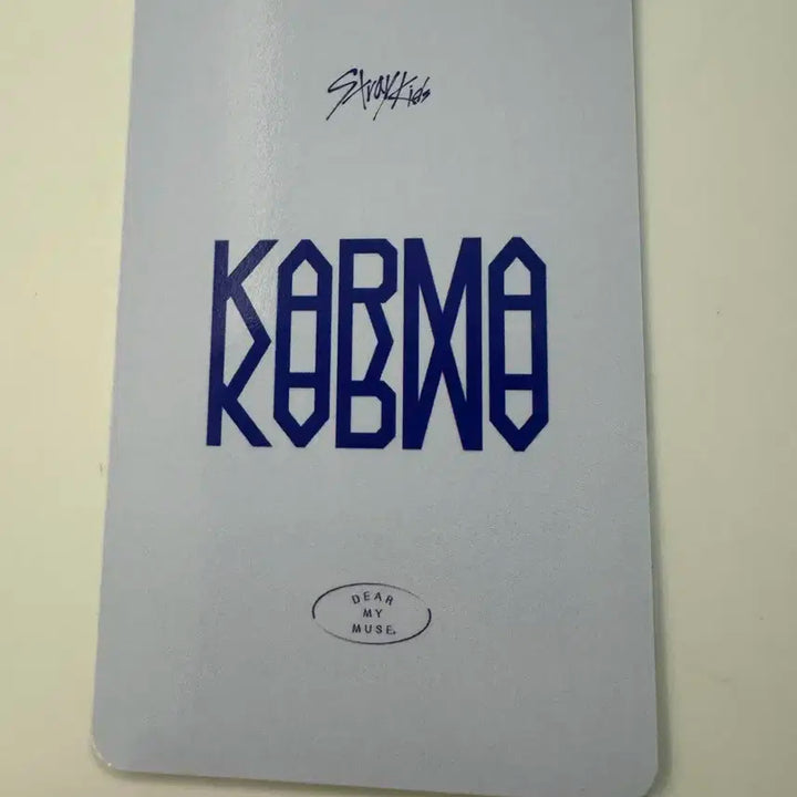 스트레이키즈 스키즈 karma 디어마이뮤즈 현진