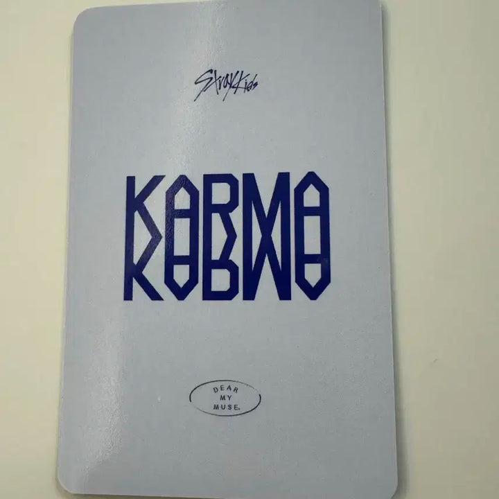 스트레이키즈 스키즈 karma 디어마이뮤즈 한
