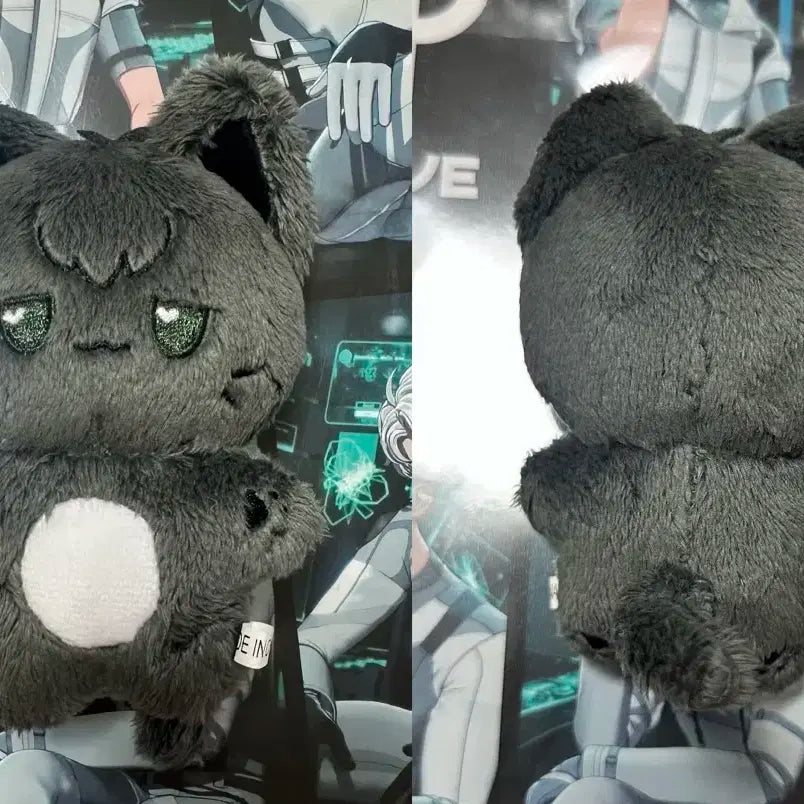 플레이브 비공식솜 동쁠레이브 쁠하민