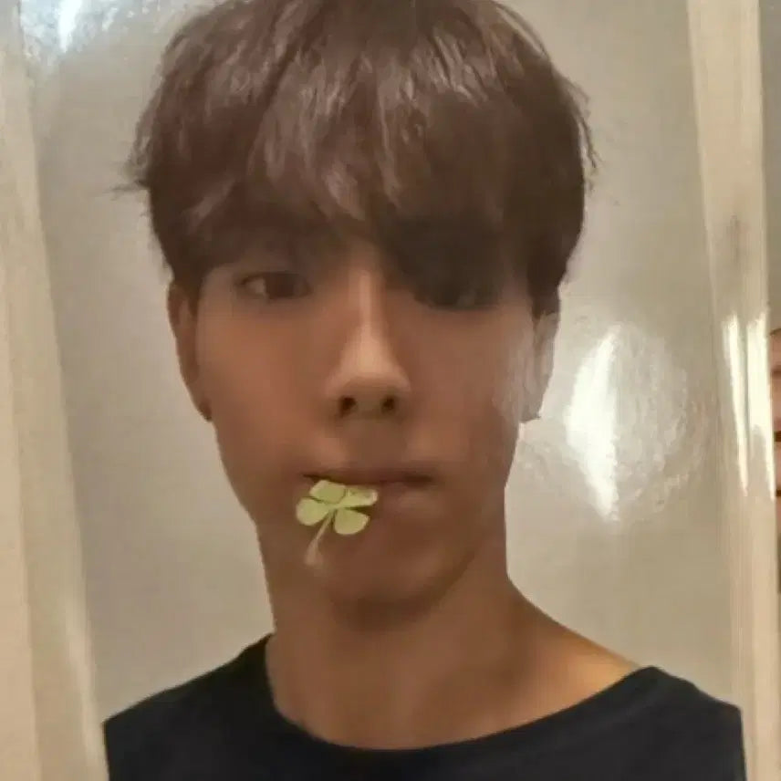 <최저가> 몬스타엑스 몬엑 위드뮤 셔누 미공포 포카 양도 판매