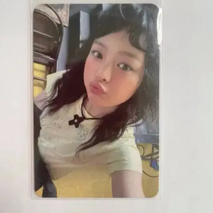 하니 포카