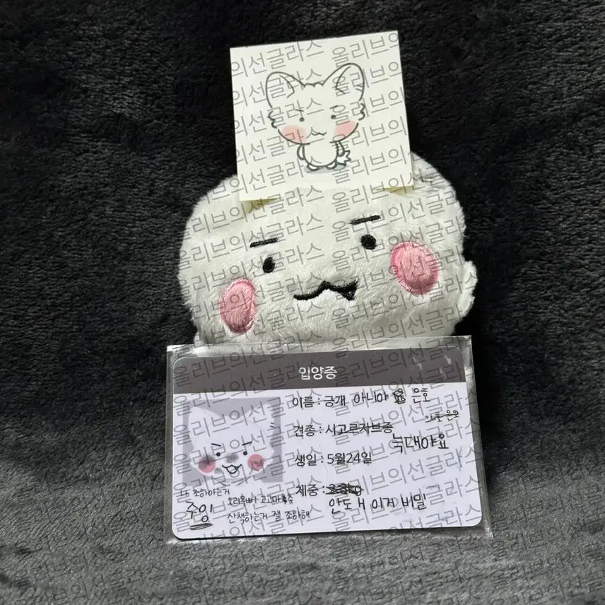 플레이브 은호 인형 암긍개