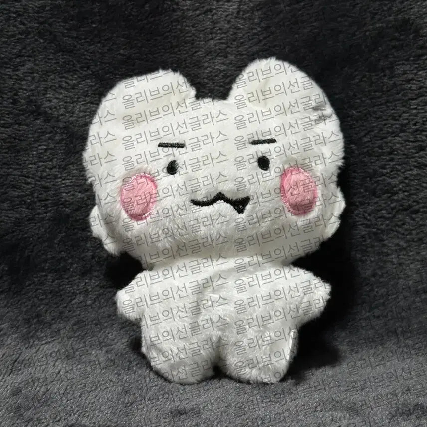 플레이브 은호 인형 암긍개