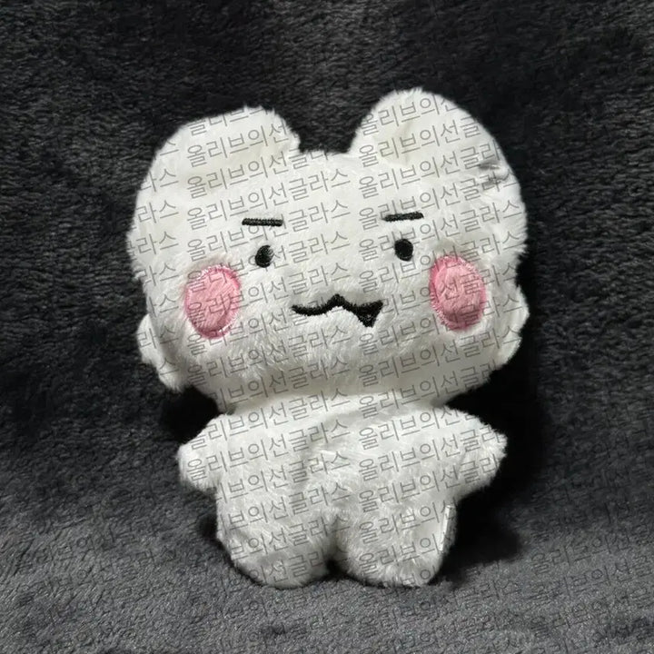 플레이브 은호 인형 암긍개