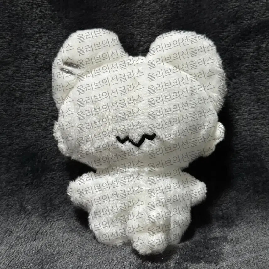 플레이브 은호 인형 암긍개
