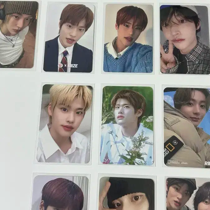 또프들만 보시오 (라이즈 소희 포카 일괄 탈덕 처분)