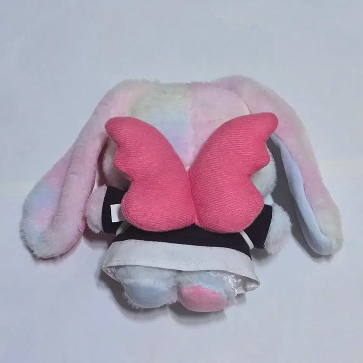 버니즈 인형 옷 포함 일괄