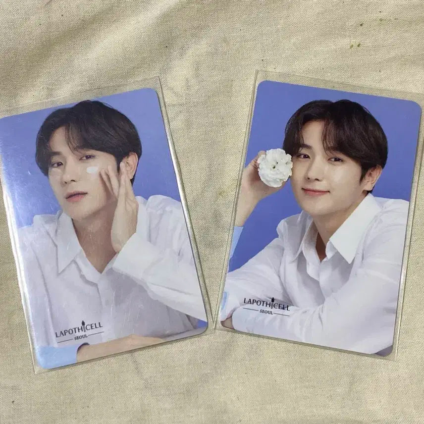 더보이즈 현재 라포티셀 포토카드 일괄