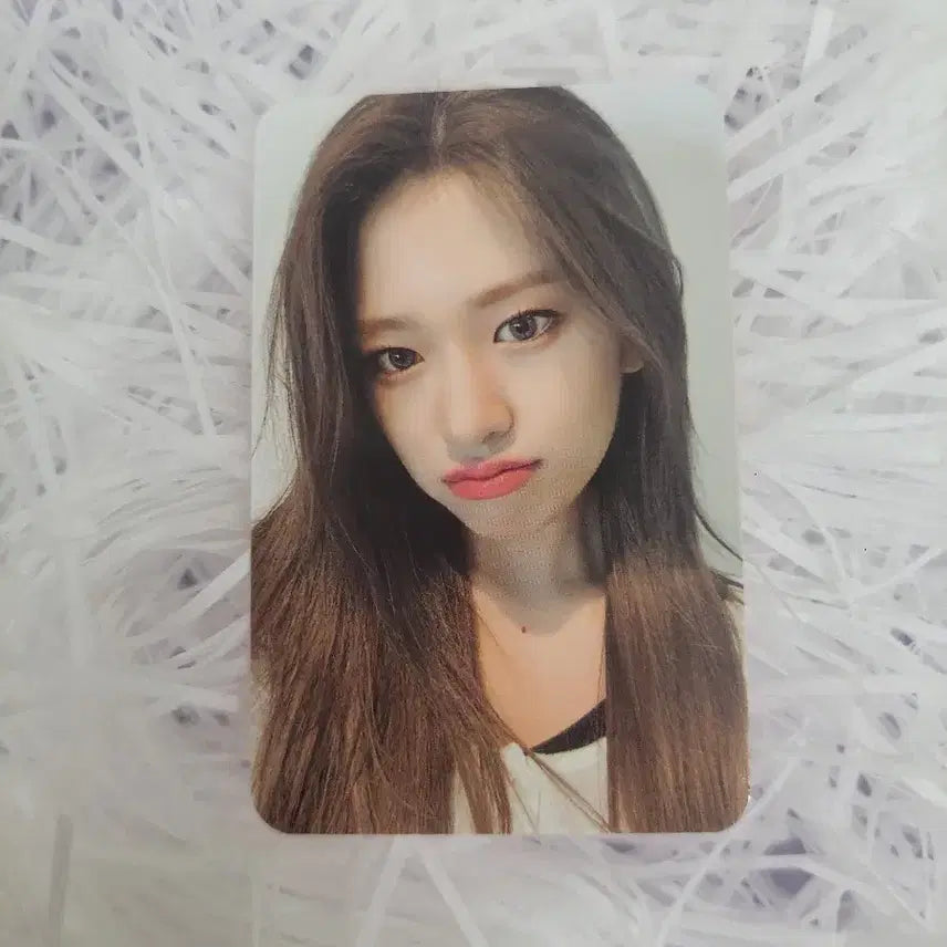 아이브 일레븐 에버라인 유진 특전 포카