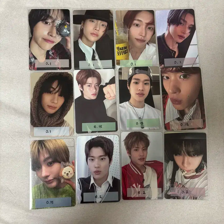 라이즈 포카 일괄