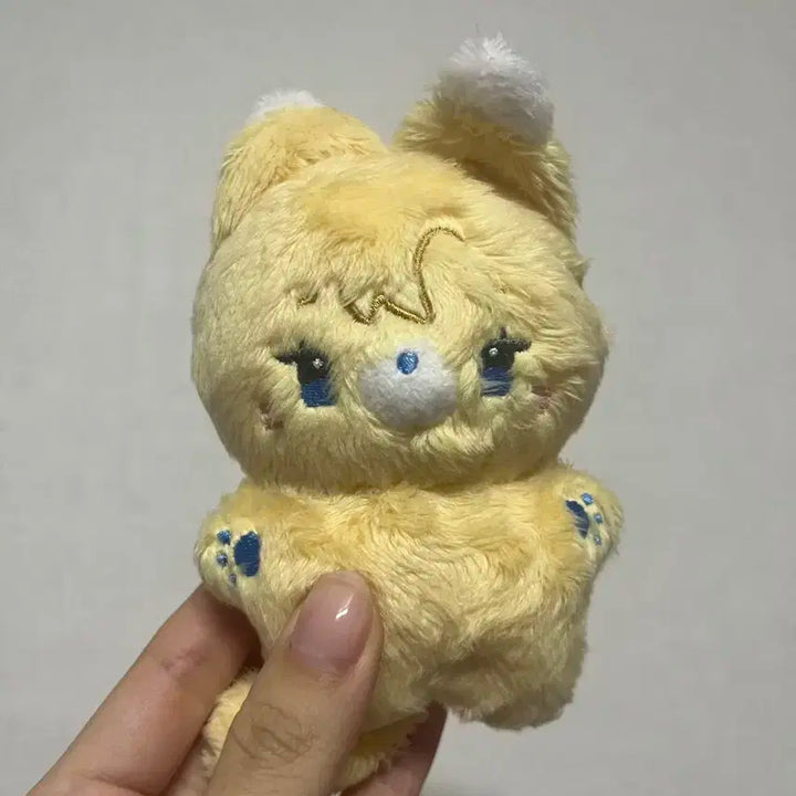 플레이뽀 노아