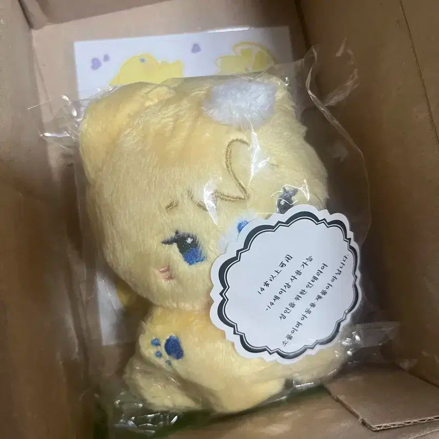 플레이뽀 노아
