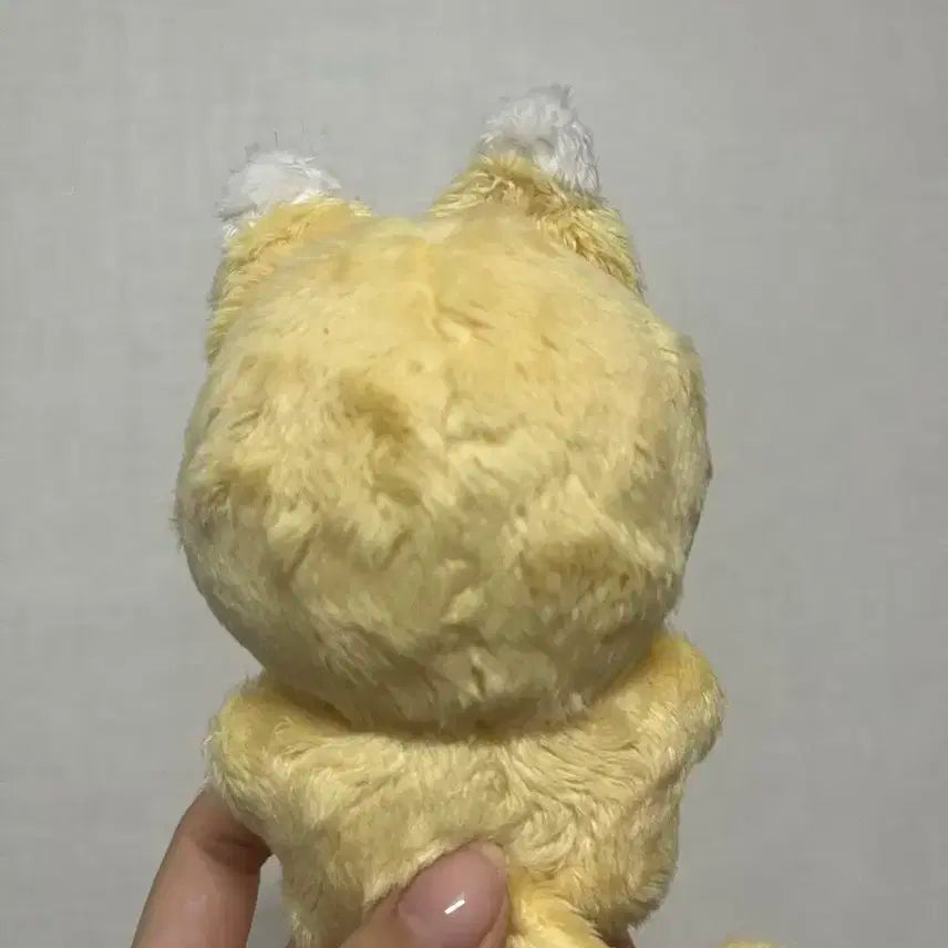 플레이뽀 노아