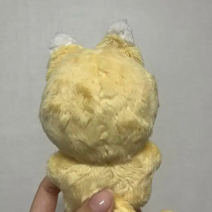 플레이뽀 노아