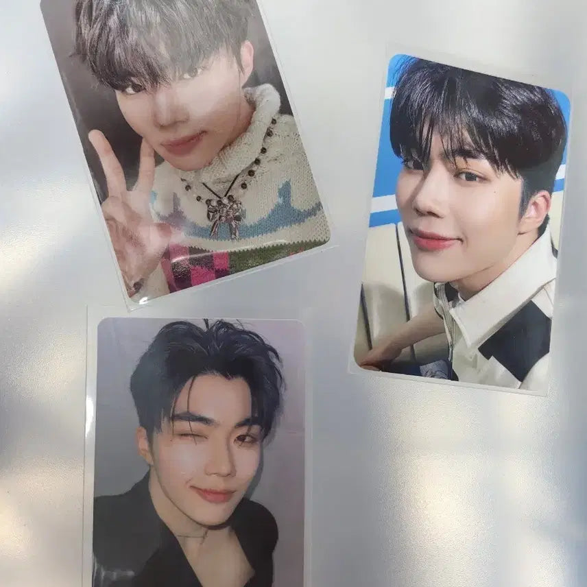 제로베이스원 박건욱 포카 일괄 판매